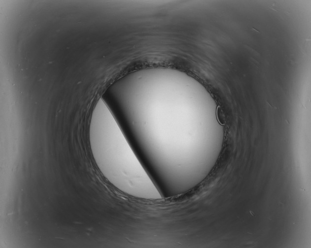 X0000085280817200703090934