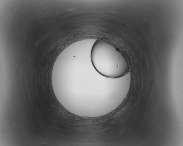 X0000085280818200703090934