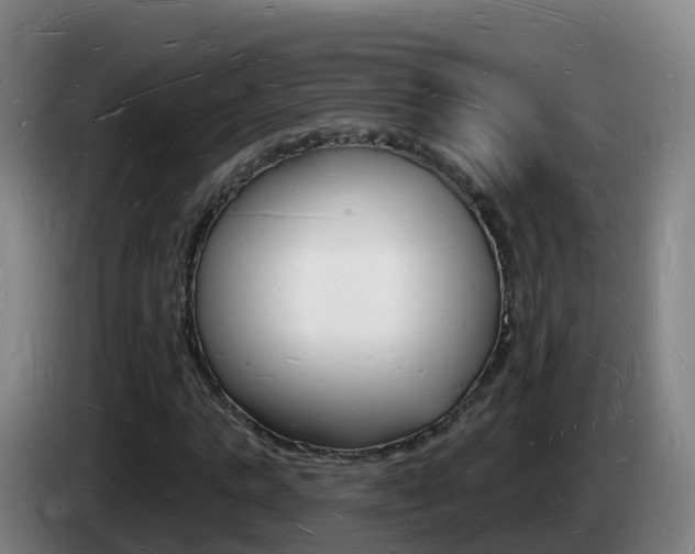 X0000085280821200703090934