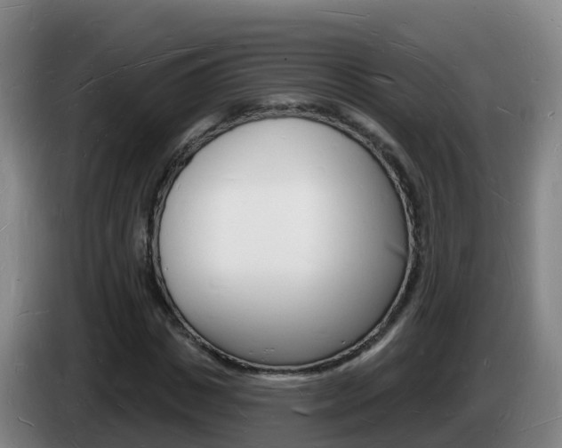 X0000085280825200703090934