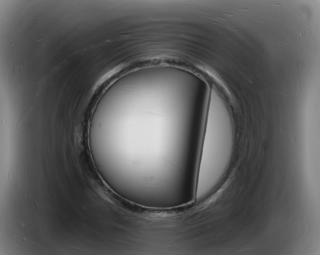 X0000085280826200703090934