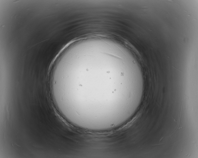 X0000085280828200703090934