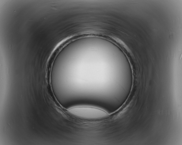 X0000085280830200703090934