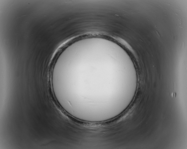 X0000085280831200703090934