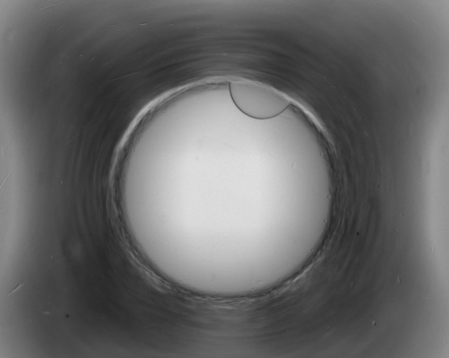 X0000085280832200703090934