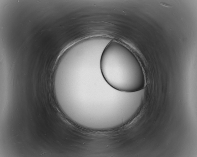 X0000085280834200703090934