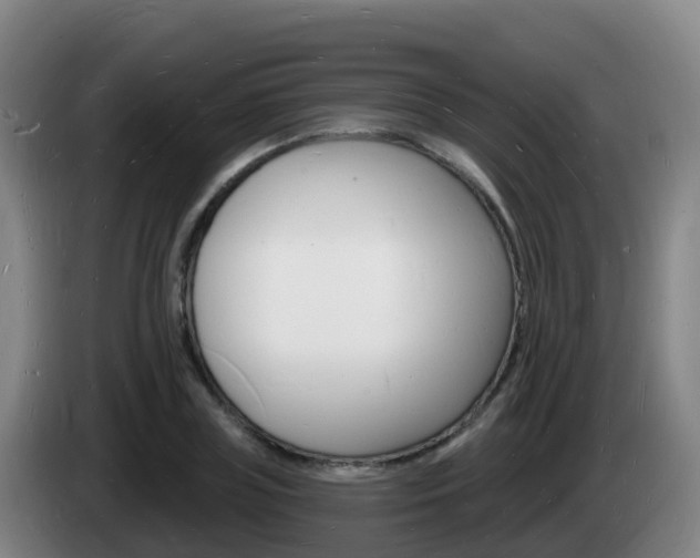 X0000085280835200703090934