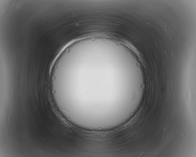 X0000085280836200703090934