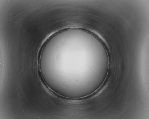 X0000085280837200703090934
