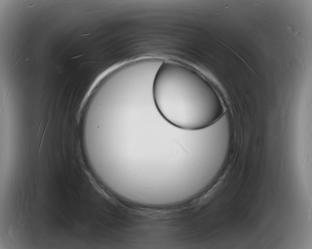X0000085280838200703090934