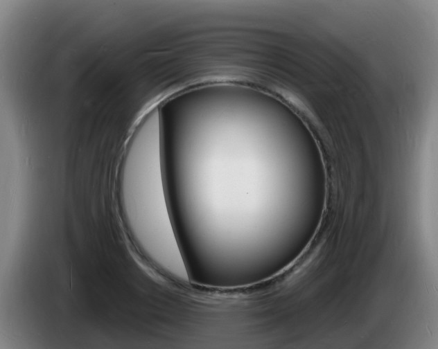 X0000085280842200703090934
