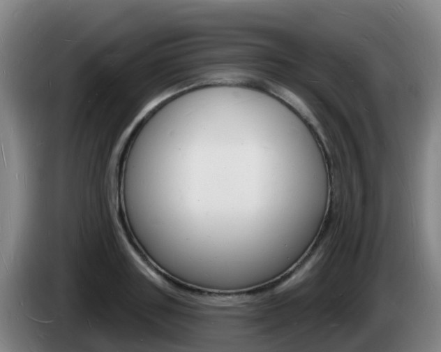X0000085280843200703090934