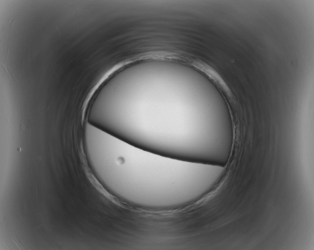 X0000085280844200703090935