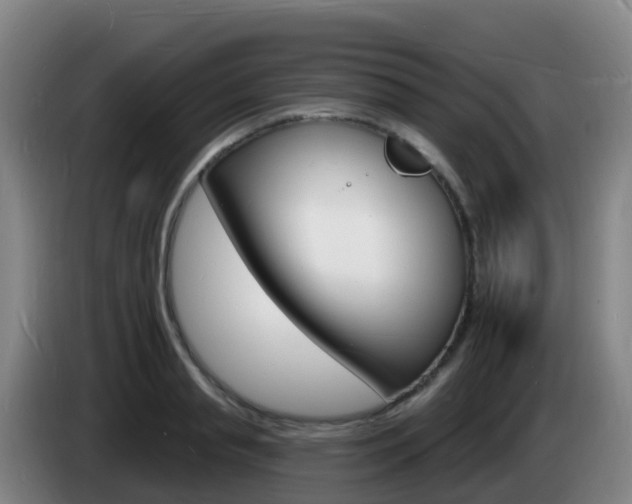X0000085280845200703090935