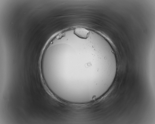 X0000085280848200703090935