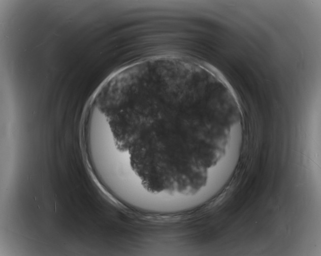 X0000085280851200703090935