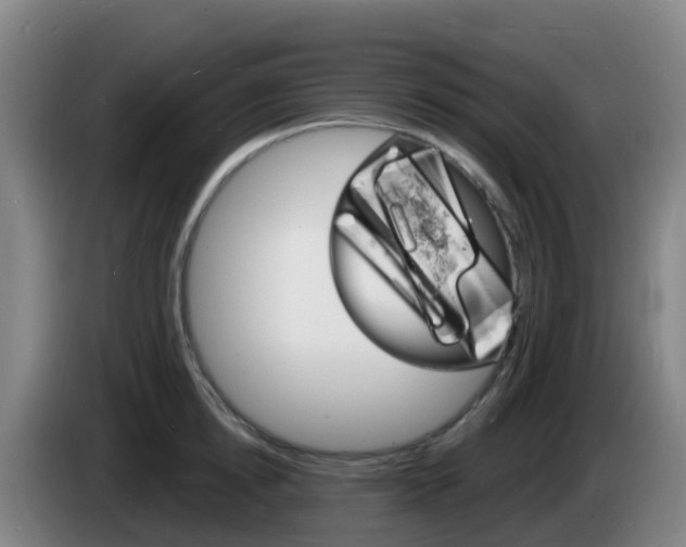 X0000085280854200703090935