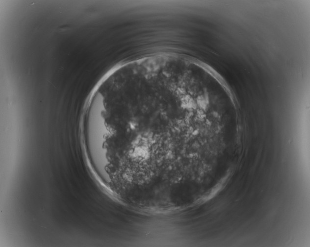 X0000085280859200703090935