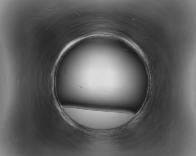 X0000085280862200703090935