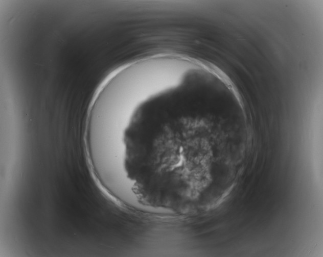 X0000085280863200703090935