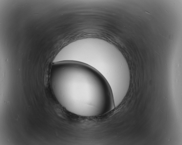 X0000085280868200703090934