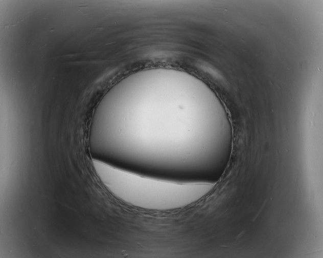 X0000085280869200703090934