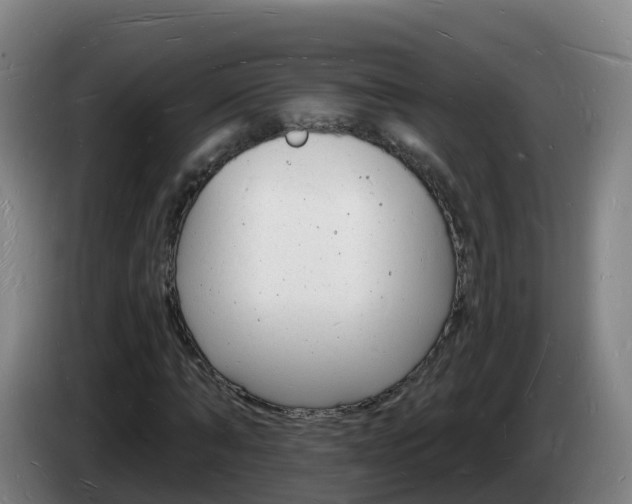 X0000085280870200703090934