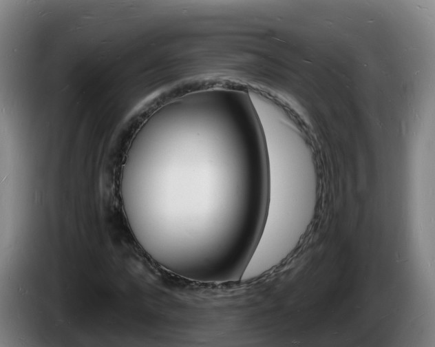 X0000085280872200703090934