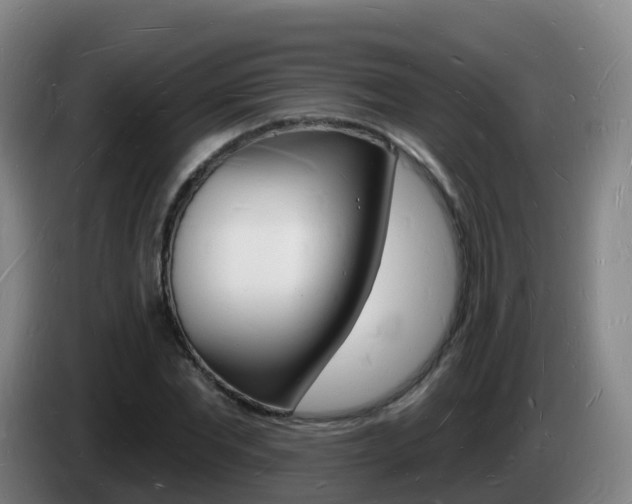 X0000085280877200703090934