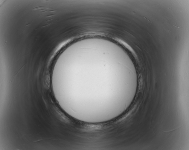 X0000085280878200703090934