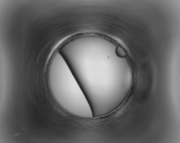 X0000085280879200703090934