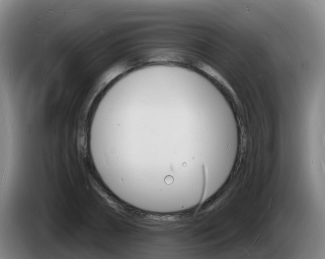 X0000085280882200703090934