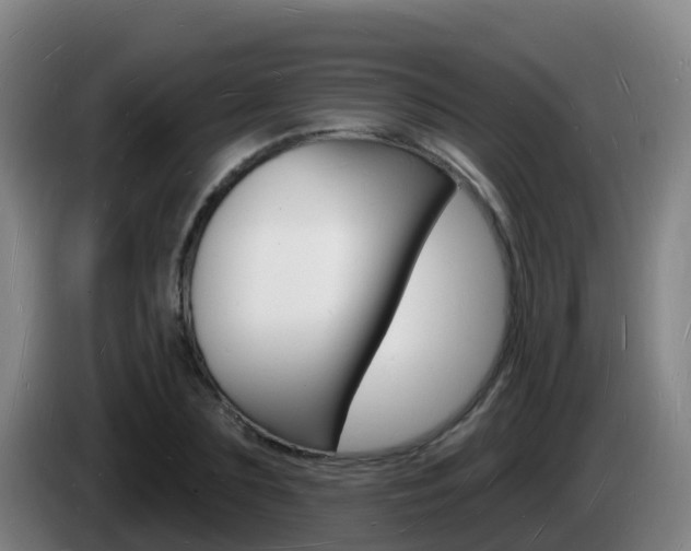 X0000085280883200703090934