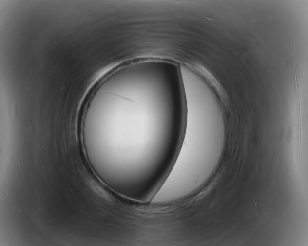 X0000085280884200703090934