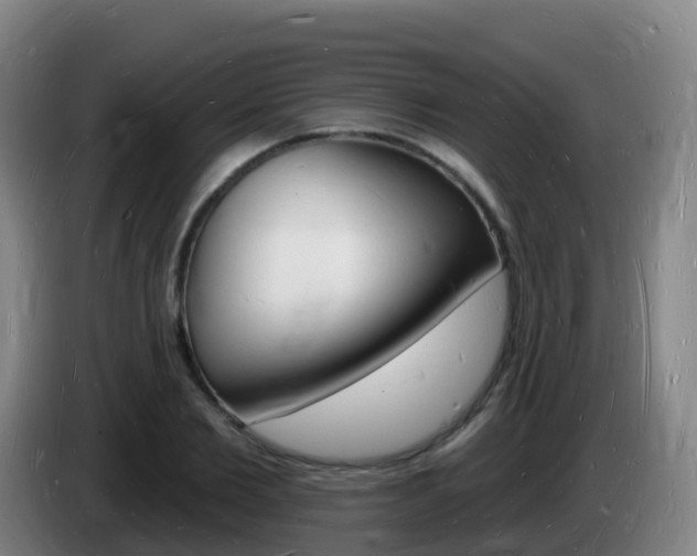 X0000085280885200703090934