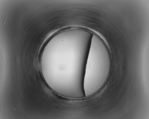 X0000085280887200703090934