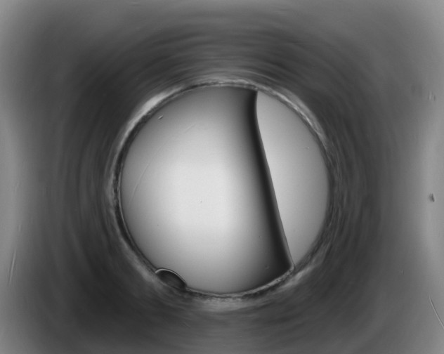 X0000085280893200703090934