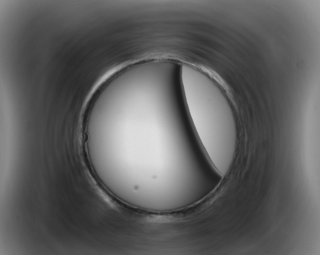 X0000085280894200703090934