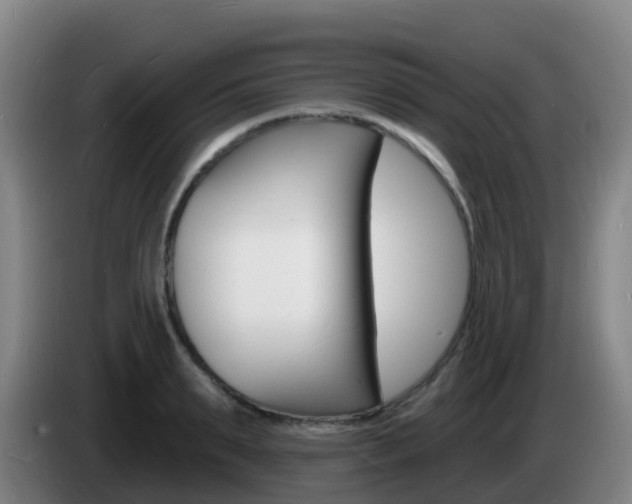 X0000085280895200703090934