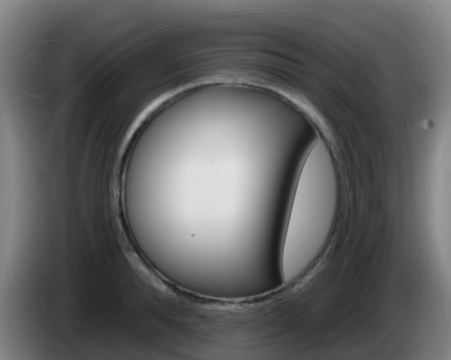 X0000085280896200703090934