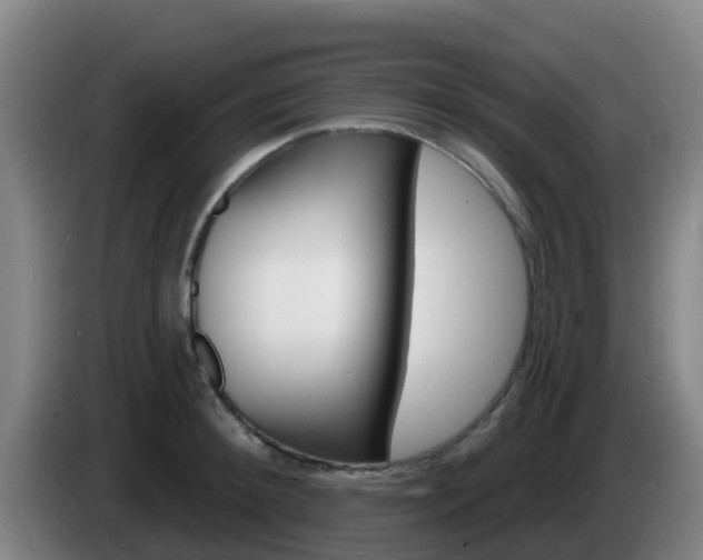 X0000085280900200703090934