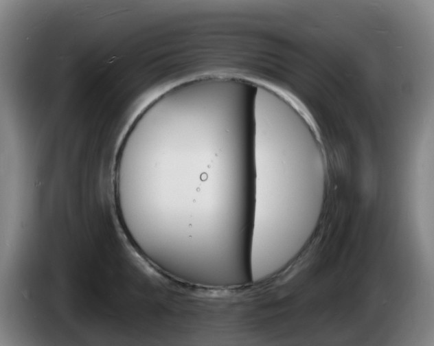 X0000085280903200703090934