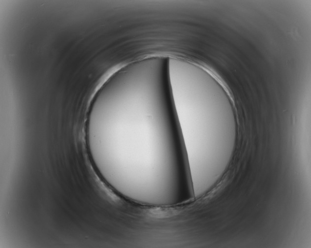 X0000085280906200703090934