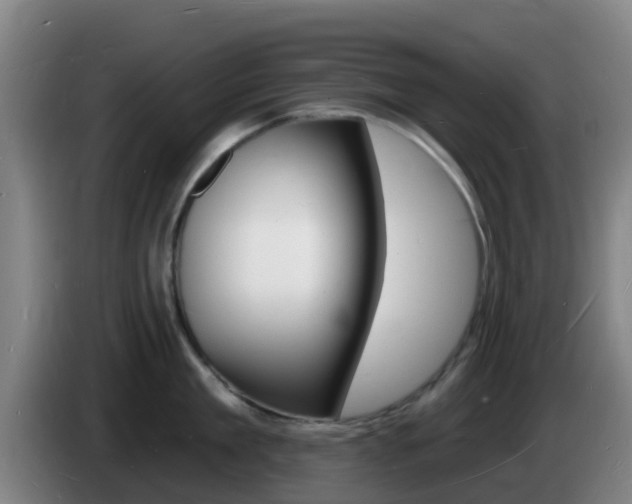 X0000085280909200703090934