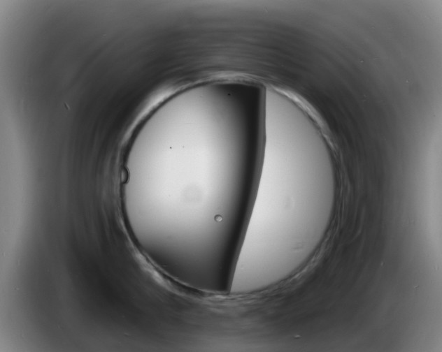 X0000085280910200703090934
