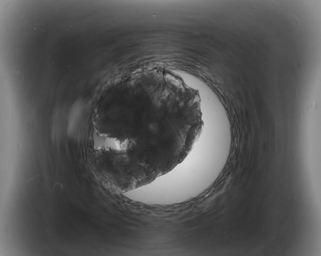 X0000085280913200703090933