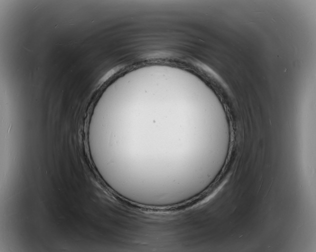 X0000085280921200703090933