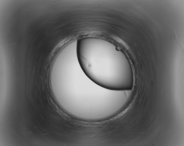X0000085280922200703090933
