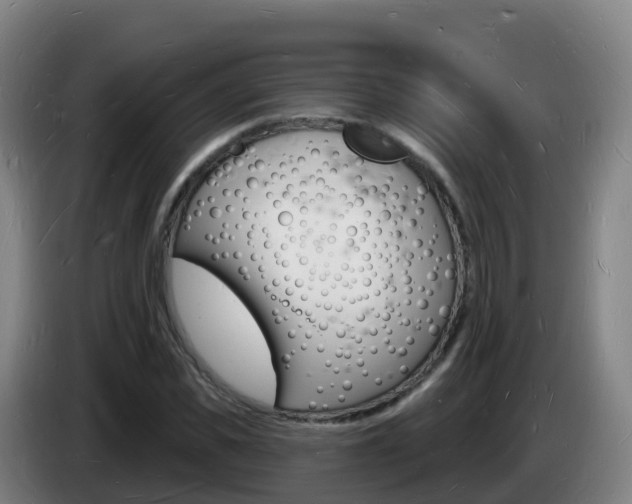 X0000085280925200703090933