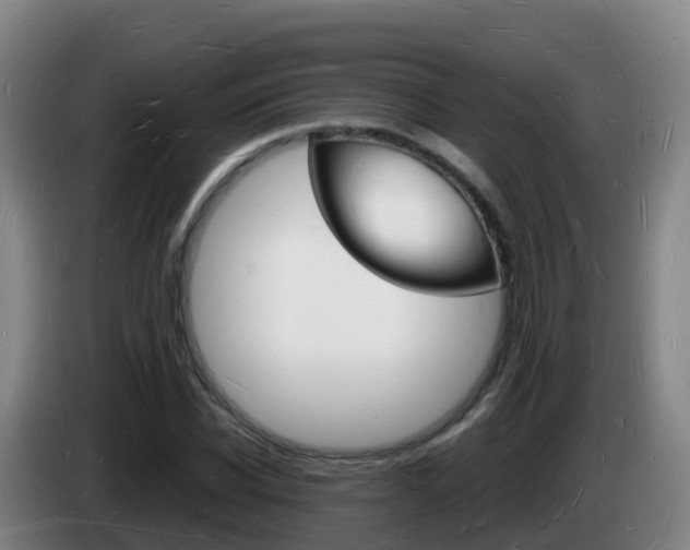 X0000085280926200703090933